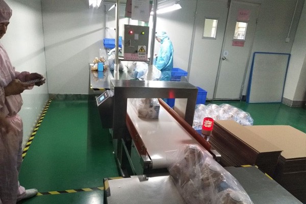 Application case of Metal Detector Application case of Metal Detector